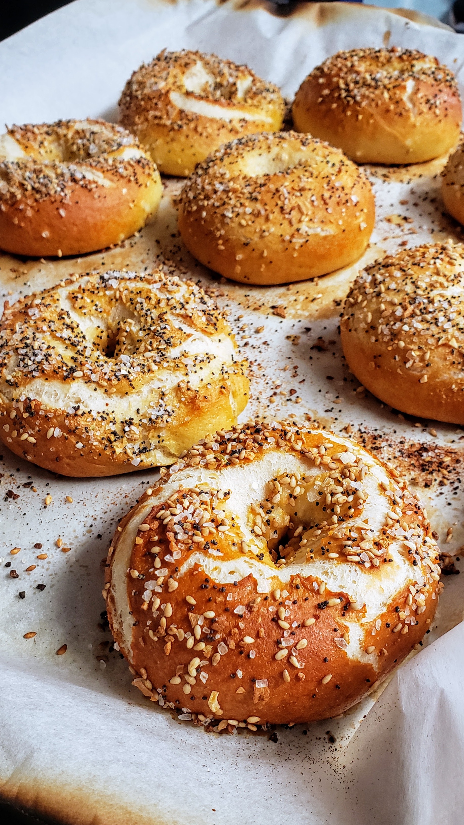 sourdough bagels (EV)